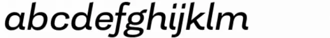 Tonus Sans Regular Italic