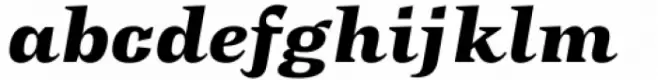 Tonus Text Heavy Italic