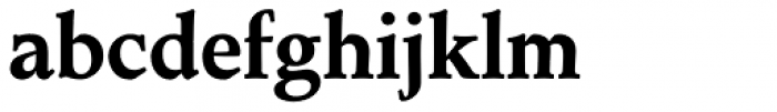 Toshna Book Bold
