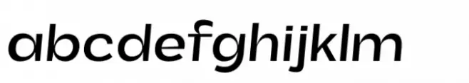Total Black Medium Italic