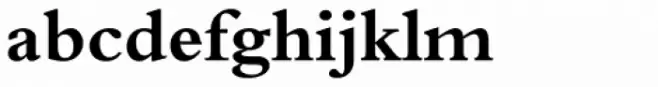 Traditional Arabic Bold