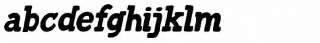 Trained Monkey Italic