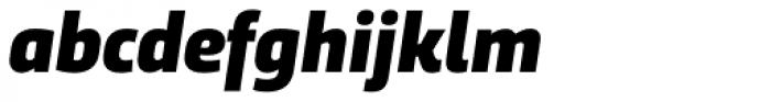 Trasandina Black Italic