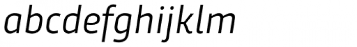 Trasandina Book Italic