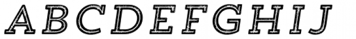 Trend Rough Slab Five Italic