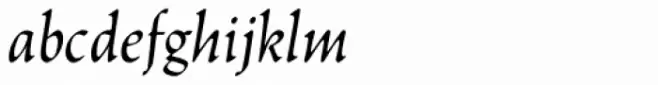 Tribunus SG Italic