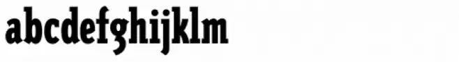 Triplex Condensed Serif Black