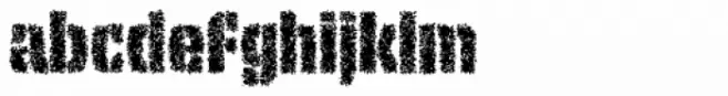 Tripper Rough Pro Bold