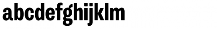 Trivia Grotesk N3 Bold