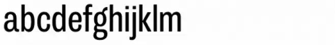 Trivia Grotesk N3