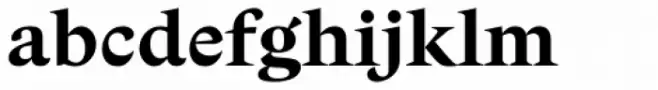 Trivia Humanist Text Bold