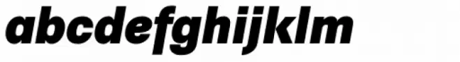 Trivia Sans Black Italic