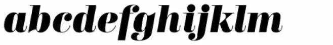 Trivia Serif Black Italic