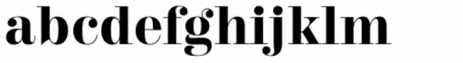 Trivia Serif Bold