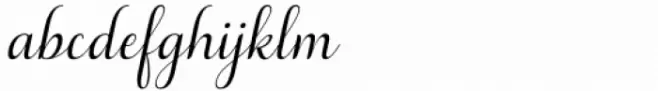 Tropicollo Thin