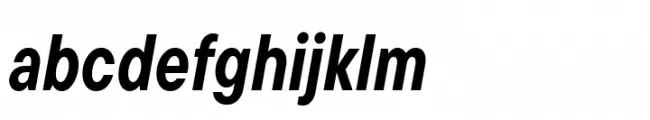 TT Commons Pro Condensed Bold Italic