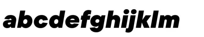 TT Commons Pro ExtraBlack Italic