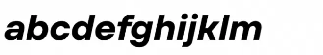 TT Firs Text Bold Italic