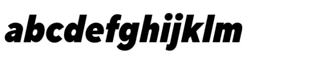 TT Norms Pro Condensed Black Italic