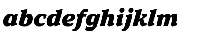 TT Norms Pro Serif Black Italic