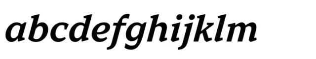 TT Norms Pro Serif DemiBold Italic