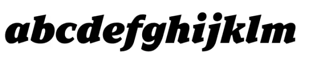 TT Norms Pro Serif ExtraBlack Italic