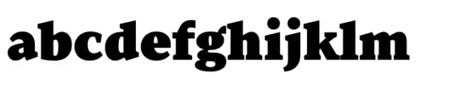 TT Norms Pro Serif ExtraBlack