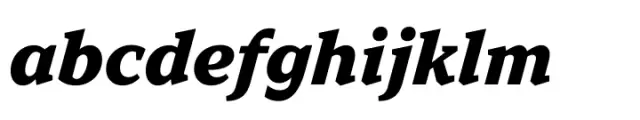 TT Norms Pro Serif ExtraBold Italic