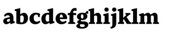 TT Norms Pro Serif ExtraBold
