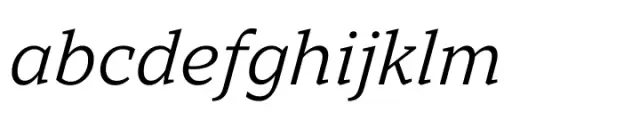 TT Norms Pro Serif Italic