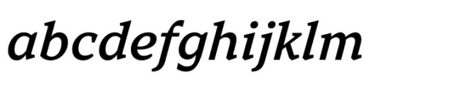 TT Norms Pro Serif Medium Italic