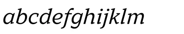 TT Norms Pro Serif Normal Italic