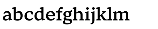 TT Norms Pro Serif Variable Roman