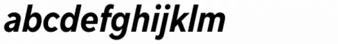 TT Norms Std Condensed Bold Italic