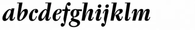 Tyfa Pro Bold Italic
