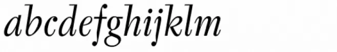 Tyfa Pro Book Italic