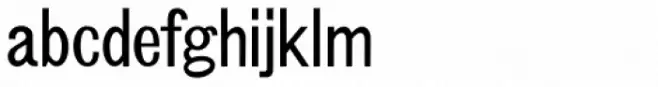 Typesetter JNL