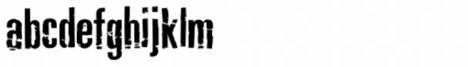 Typochondriac Bold