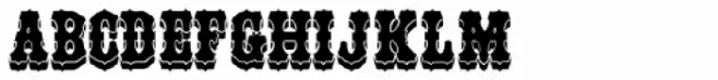 Unadorned JNL