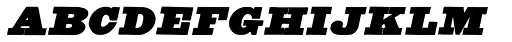 Untitled Wood Type Italic