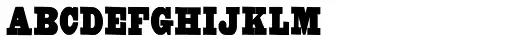 Untitled Wood Type Thin