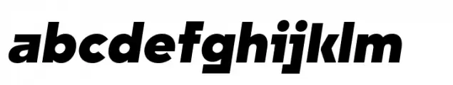 Unytour Heavy Italic