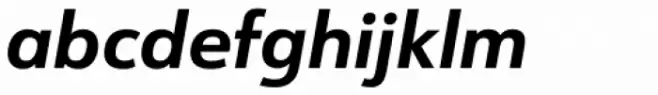 URW Form Bold Italic
