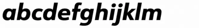 URW Form Extra Bold Italic