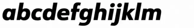 URW Form Heavy Italic
