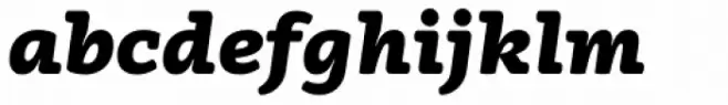Vaccine Black Italic