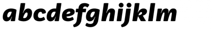 Vaccine Sans Black Italic