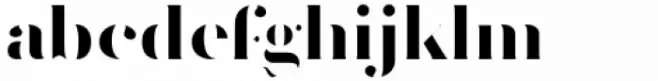 Vacui Bold