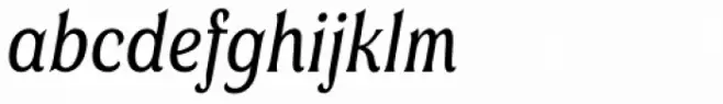 Valeson Norm Book Italic