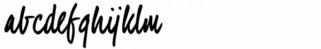 VanderHand Regular